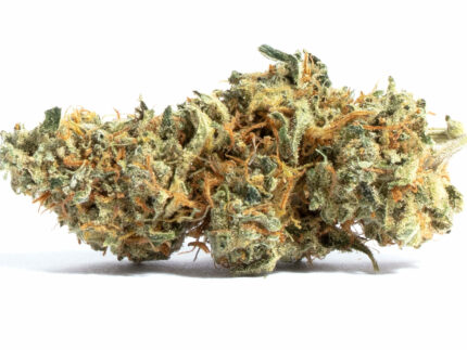 Amnesia
