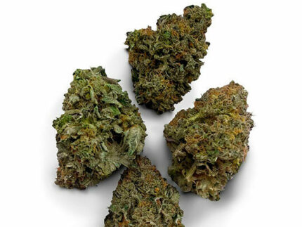 Sour Headband Strain UK